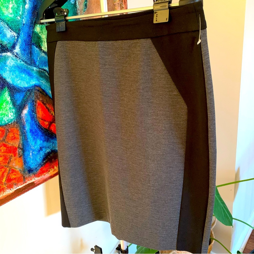 SC&CO XL Skirt Slimming Panels Stretchy